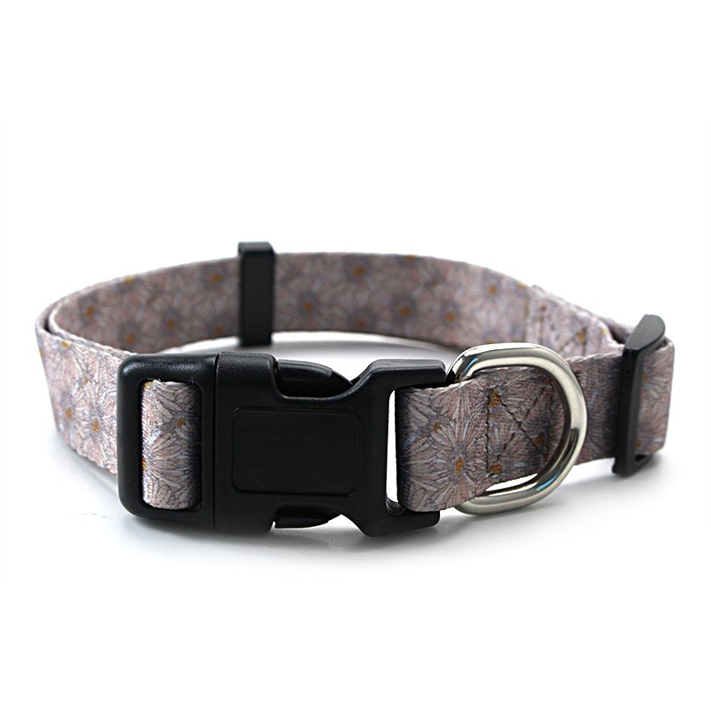Hot-selling Cheap Dog Training Collar Small Pet Collar