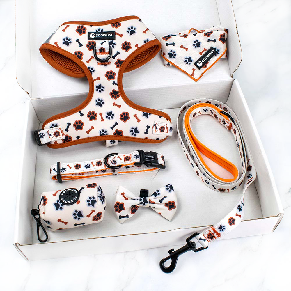 Manufacturer Personalized Pet Dog Harness Neoprene Padded Printed Dog Leash with Customized Logo and Pattern