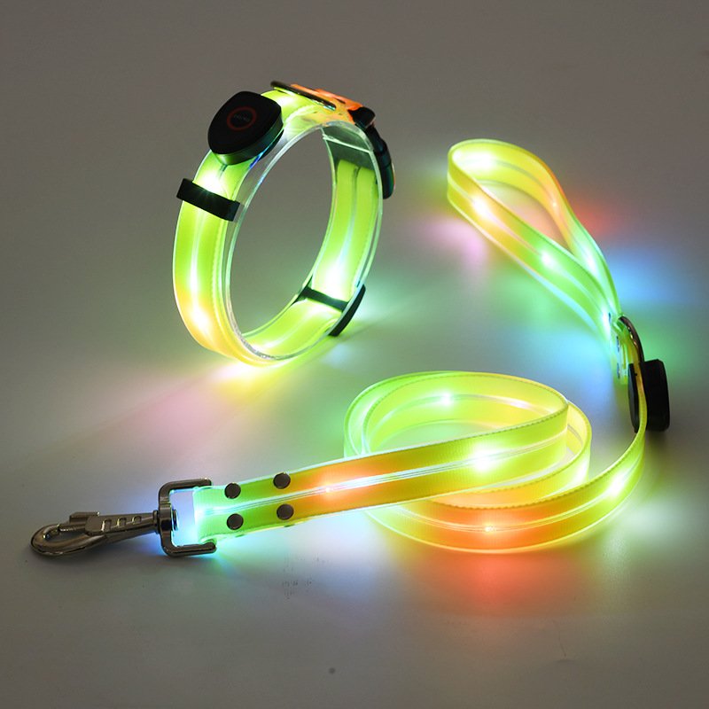 New arrival Wholesale Waterproof Illuminating Walking Night Light up Dog Leash Collar Set Glowing USB Rechargeable Led Dog Leash