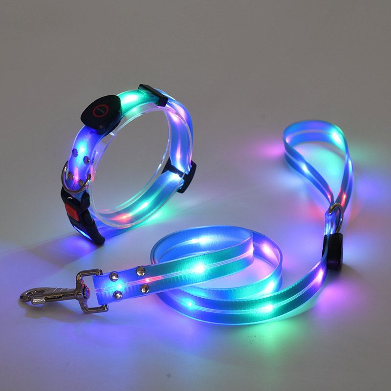 New arrival Wholesale Waterproof Illuminating Walking Night Light up Dog Leash Collar Set Glowing USB Rechargeable Led Dog Leash