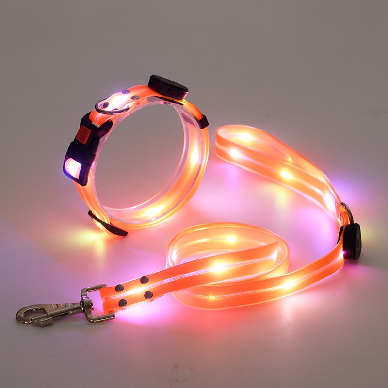 New arrival Wholesale Waterproof Illuminating Walking Night Light up Dog Leash Collar Set Glowing USB Rechargeable Led Dog Leash