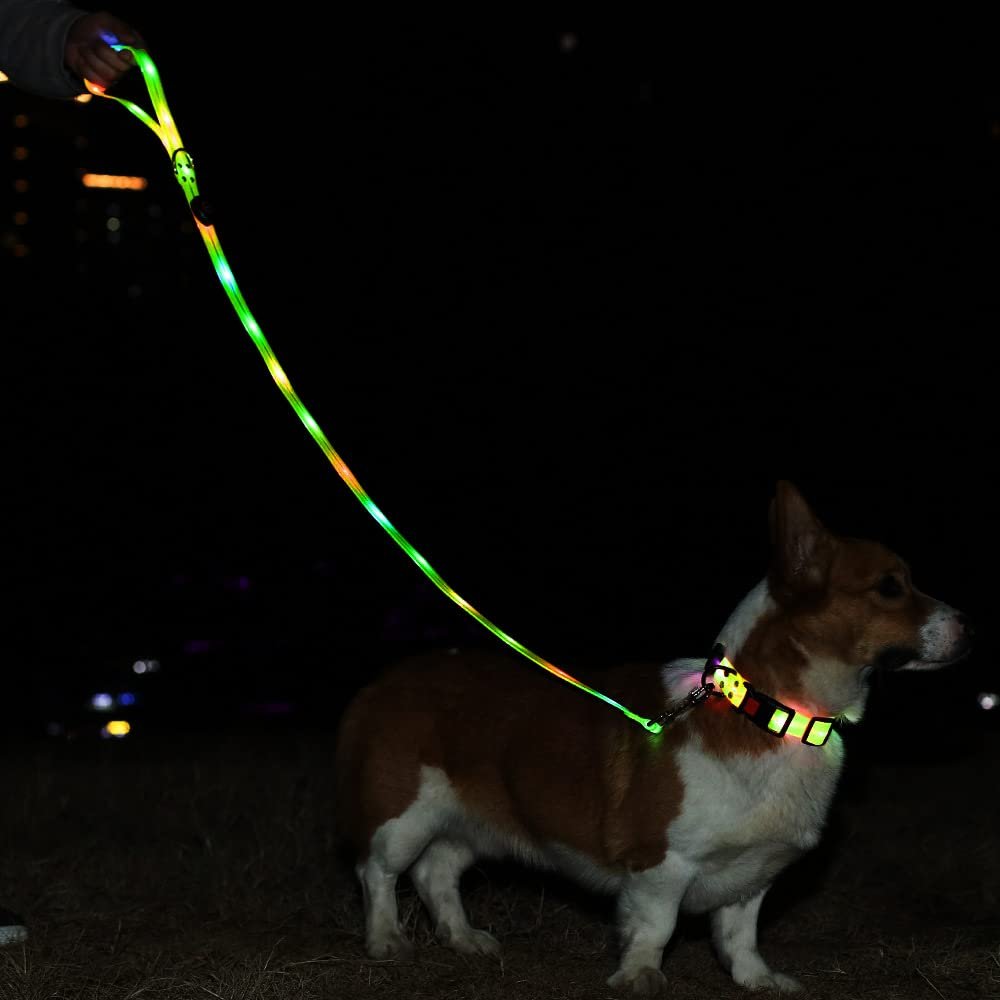 New arrival Wholesale Waterproof Illuminating Walking Night Light up Dog Leash Collar Set Glowing USB Rechargeable Led Dog Leash