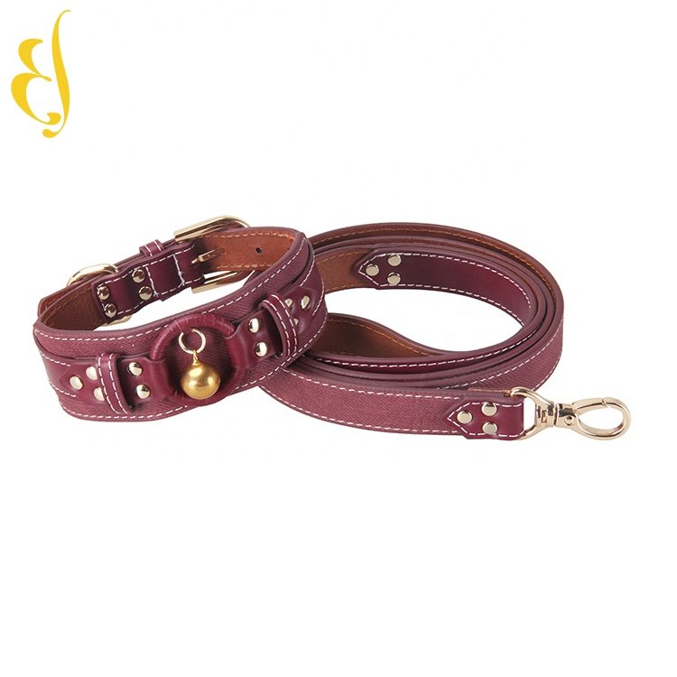 Factory personal customized pet leash dog collars and leashes