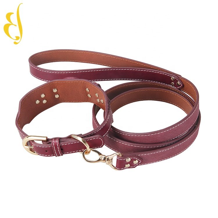 Factory personal customized pet leash dog collars and leashes