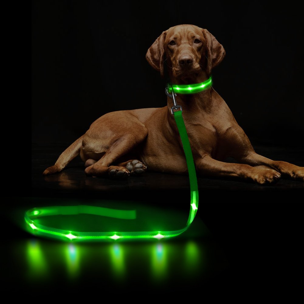 New Release pet products usb recharge pet leash light up Led Dog Leash