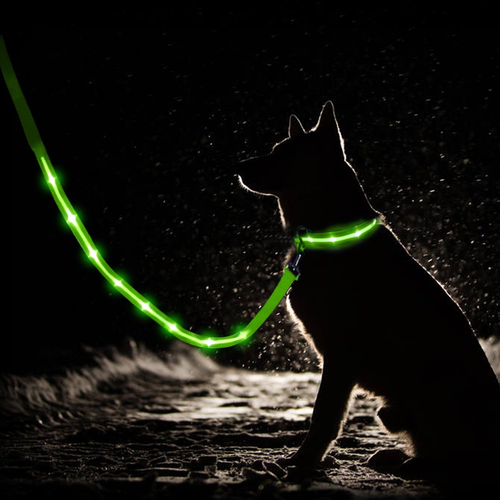 New Release pet products usb recharge pet leash light up Led Dog Leash