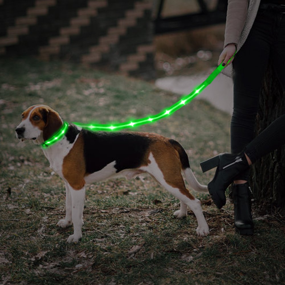 New Release pet products usb recharge pet leash light up Led Dog Leash