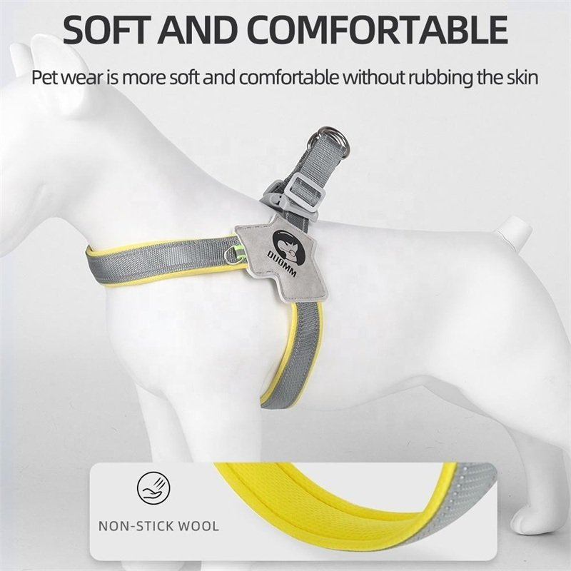 2024 New Style Hot Selling Adjustable Dog Safety Harness Set Luxury Custom Pet Harnesses For Dog And Cat