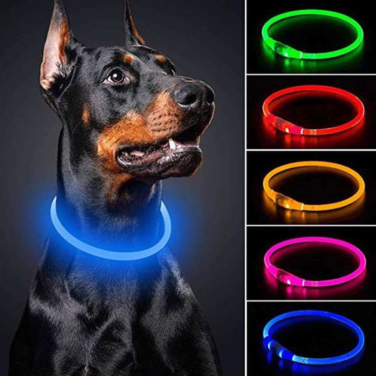 Wholesale Usb Rechargeable LED Light Up Dog Pet Collar Personalized Collares De Perros Custom Led Dog products