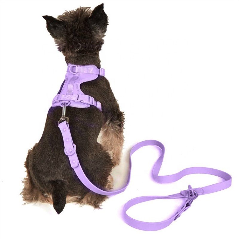 PVC coated nylon waterproof pet dog cat collar leash harness set with custom service