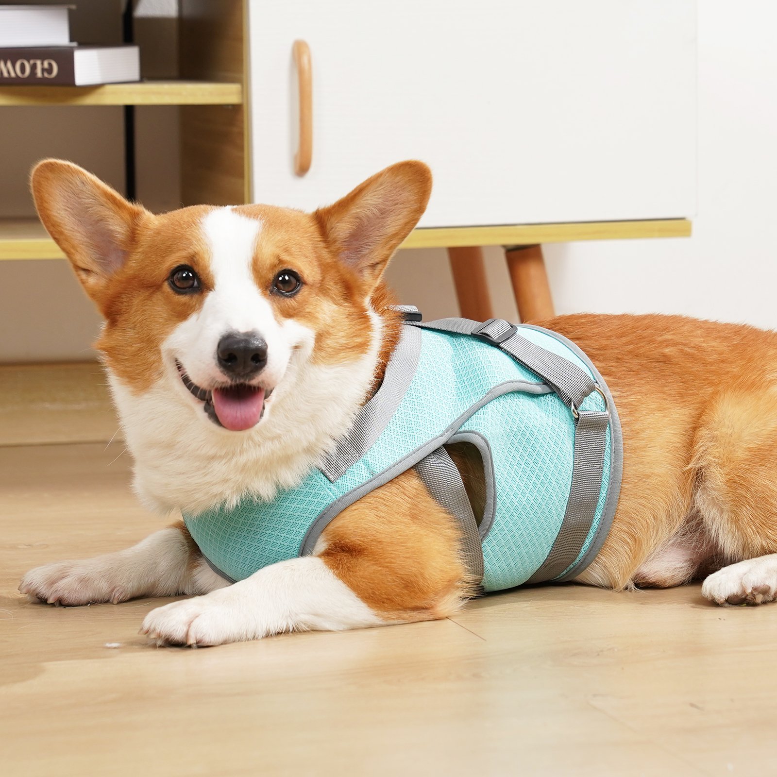 Comfortable Dog Cooling Vest Clothes Pet Harness Reflective Adjustable Dogs Vest Coat Quick Release