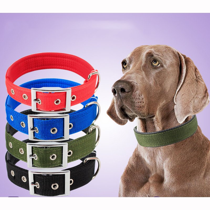 Solid Dog Collars Nylon Dog Collar For Small Medium Large Dogs Pet Collars