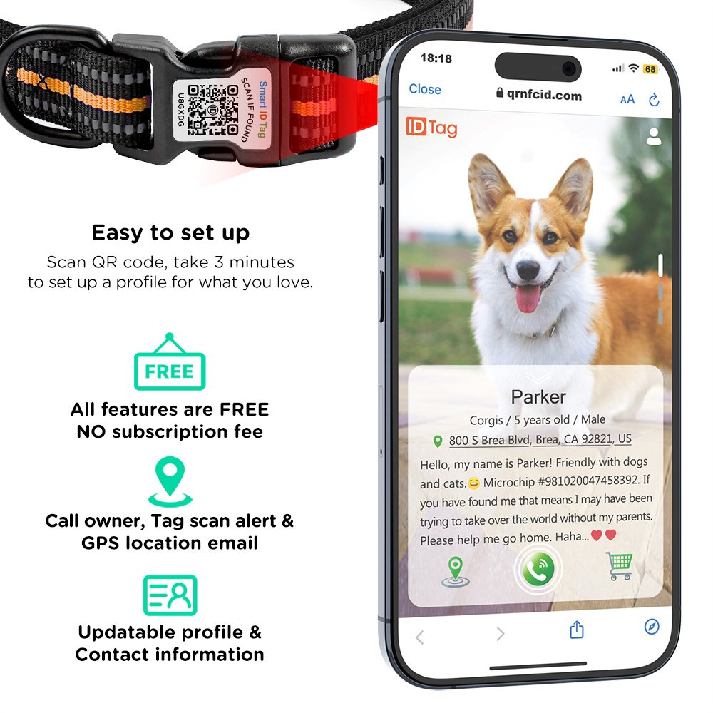 Software Ready Customizable Western Style Smart ID QR Code Pet Dog Neck Collar for Outdoor Use