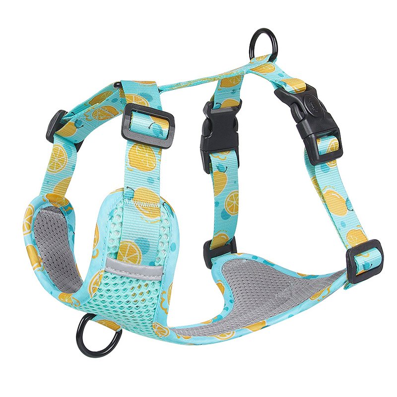 Personalized Luxury Pet Collar Manufacturer Adjustable Printed Pet Collars Leashes Harnesses