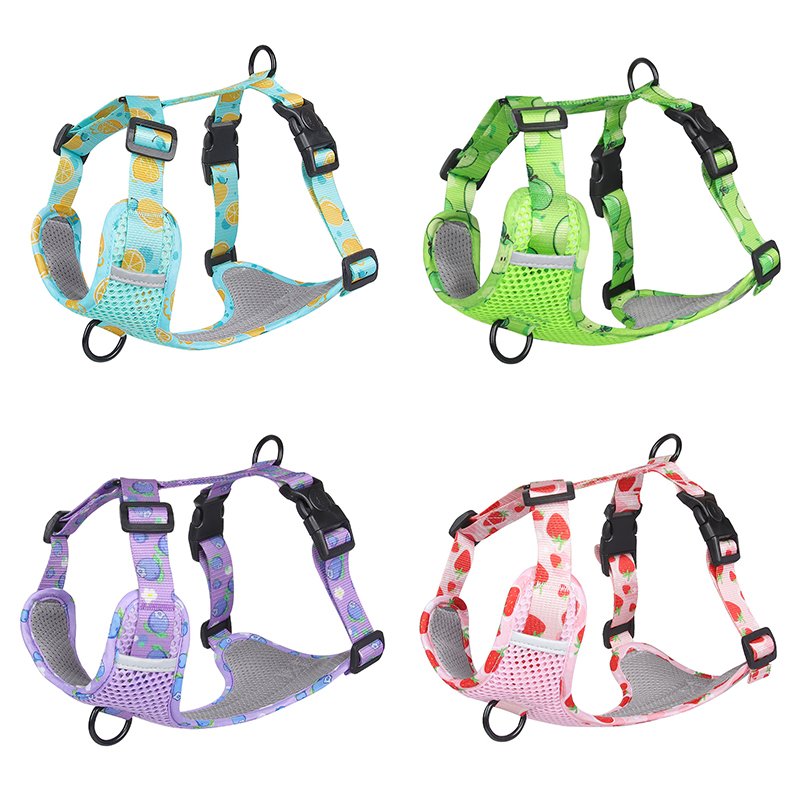 Personalized Luxury Pet Collar Manufacturer Adjustable Printed Pet Collars Leashes Harnesses