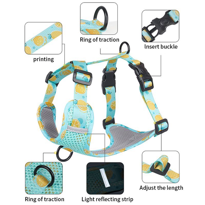 Personalized Luxury Pet Collar Manufacturer Adjustable Printed Pet Collars Leashes Harnesses