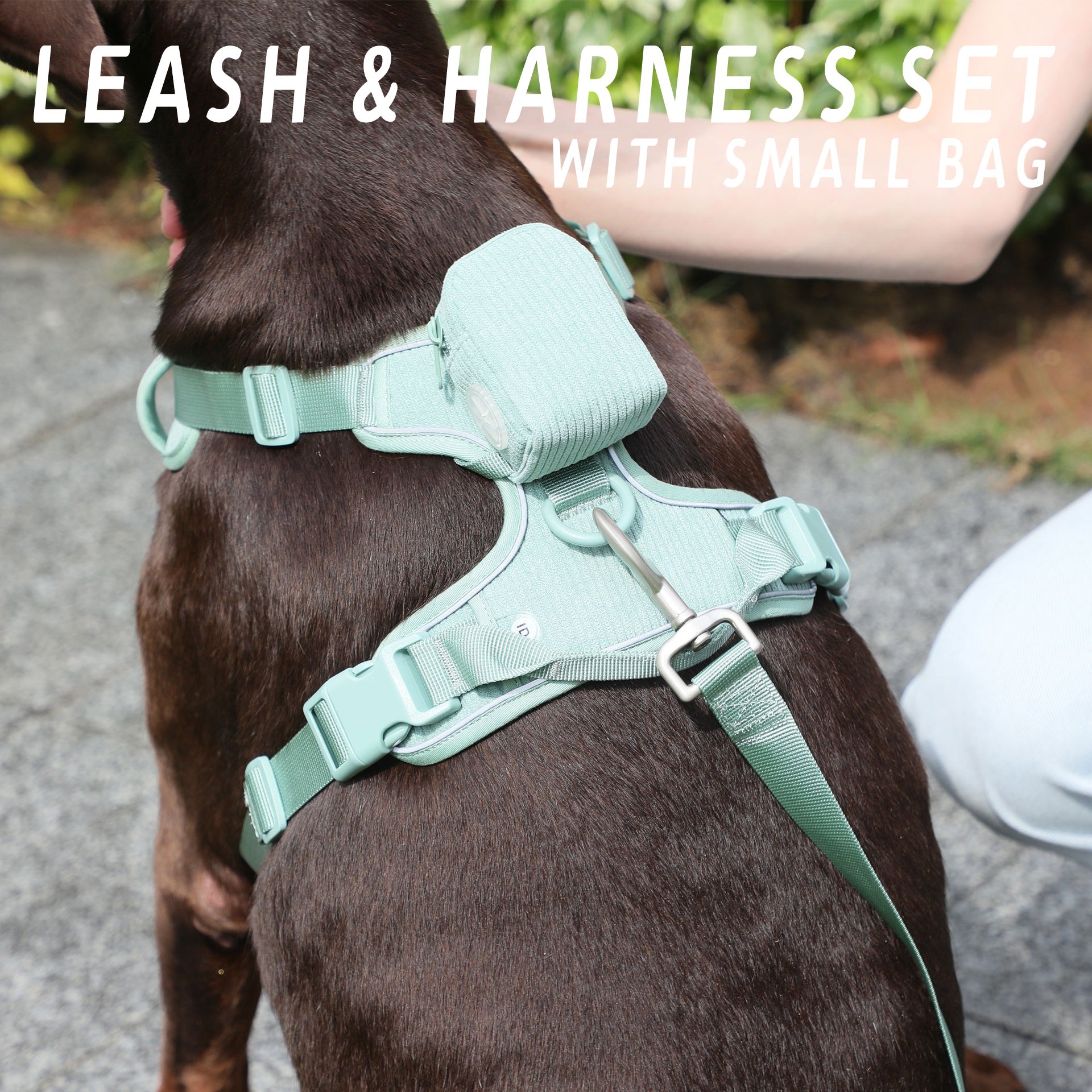 Luxury no pull dog harness leash set soft corduroy material cute pet collar wakling bag small dogs all breeds OEM acceptable