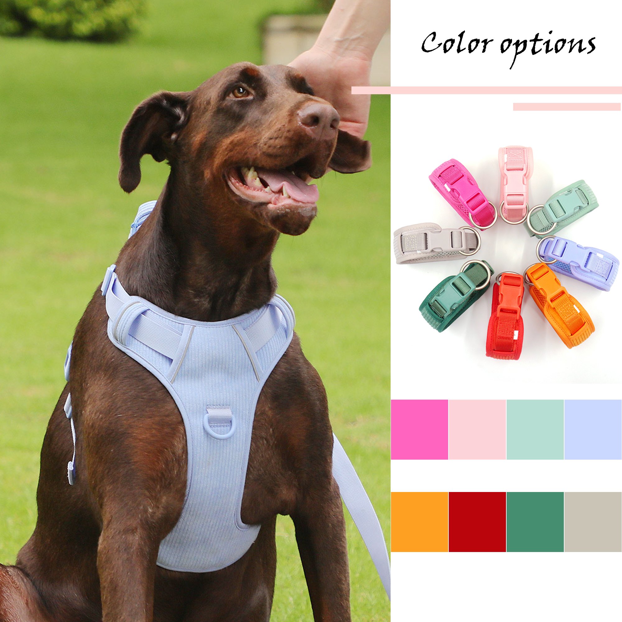 Luxury no pull dog harness leash set soft corduroy material cute pet collar wakling bag small dogs all breeds OEM acceptable