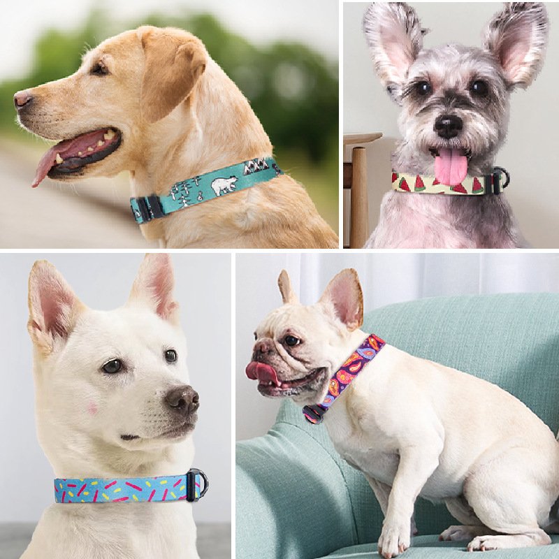 Pet Dog Collar Harness Leash Adjustable Pet Collar for Small Large Dogs Necklace Dog Collars Pet Accessories