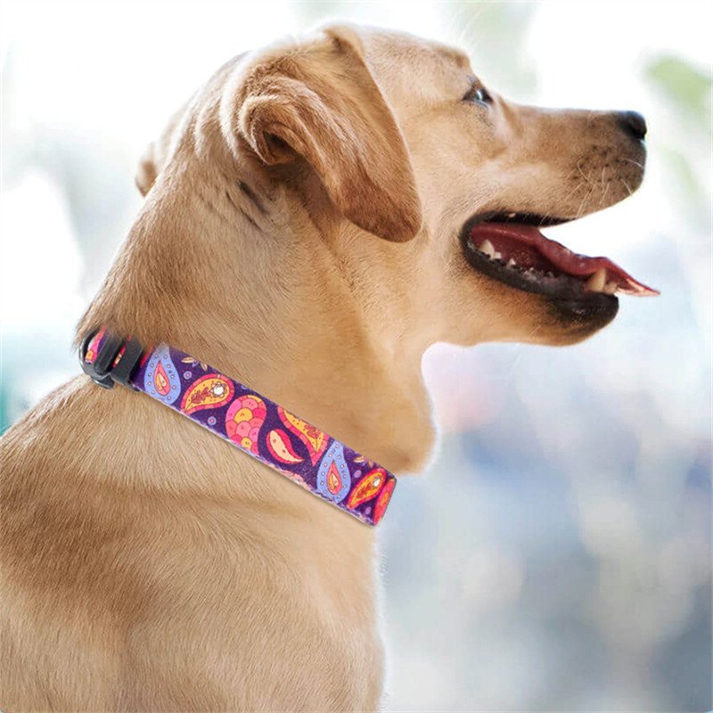 Pet Dog Collar Harness Leash Adjustable Pet Collar for Small Large Dogs Necklace Dog Collars Pet Accessories