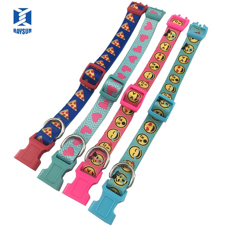 Manufacturer Wholesale Pet Accessories Collar Dog collar de perro Custom Designer Dog Collar Leash