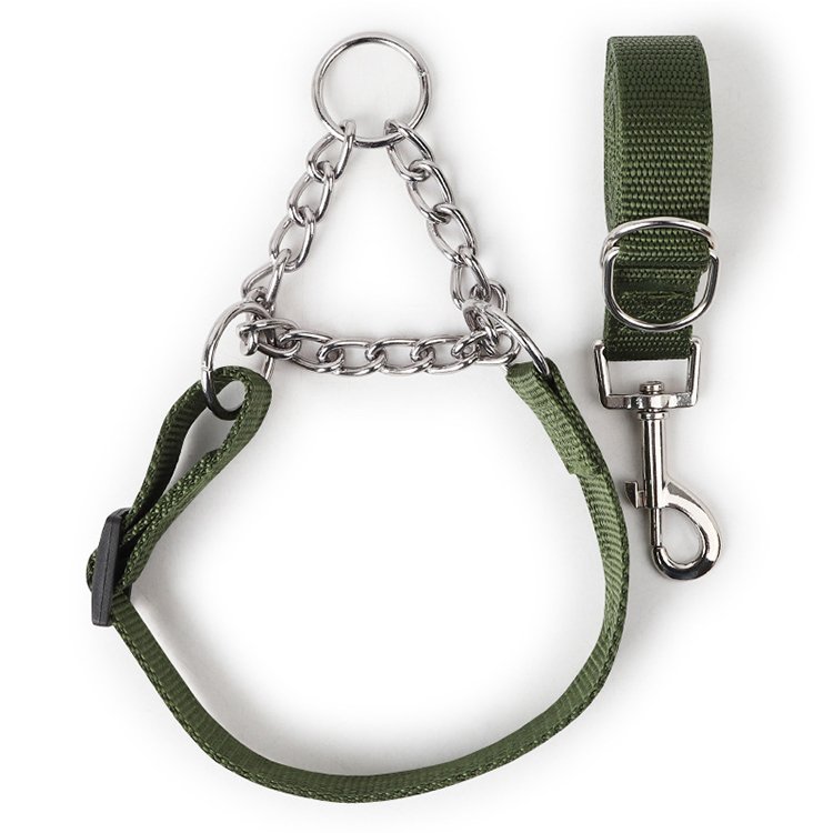 Amaz Best Seller Pet Dog Leash Collar for Medium Large Dog
