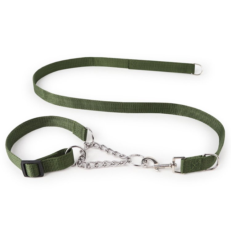 Amaz Best Seller Pet Dog Leash Collar for Medium Large Dog