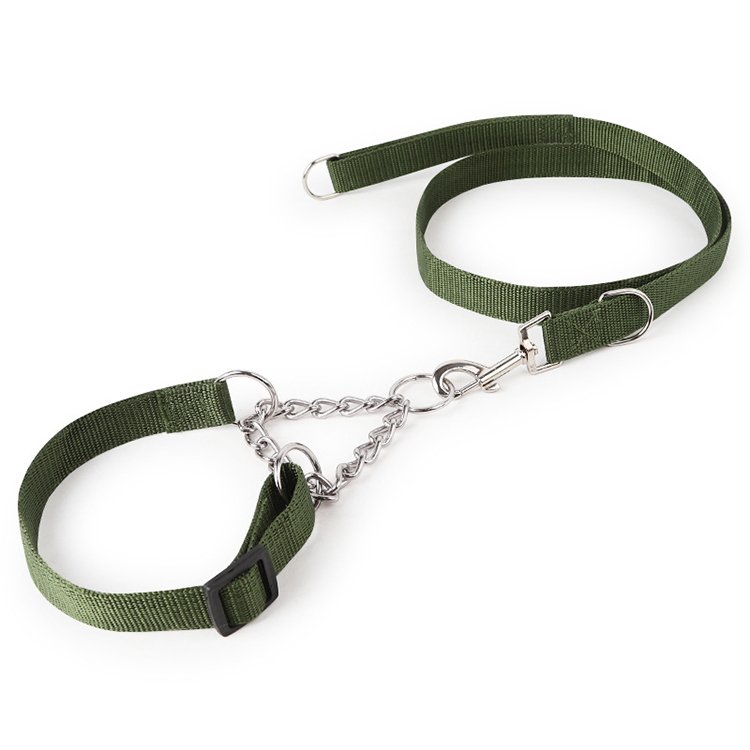 Amaz Best Seller Pet Dog Leash Collar for Medium Large Dog