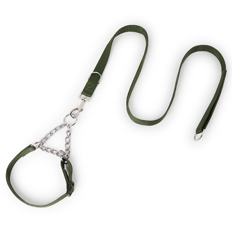 Amaz Best Seller Pet Dog Leash Collar for Medium Large Dog