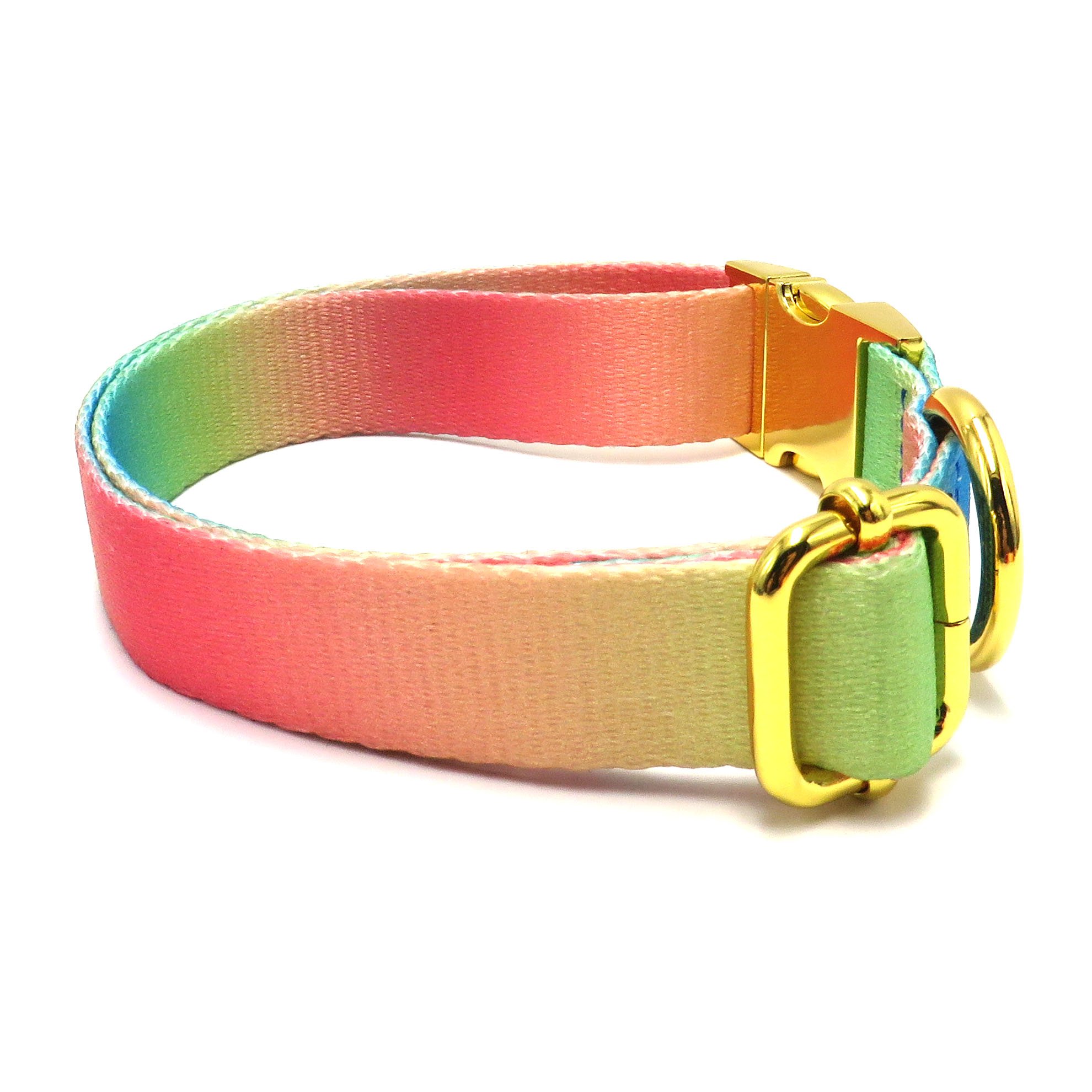 Hot Selling Product Pet Collar Pet Walking Accessories Collar Leash With Several Color
