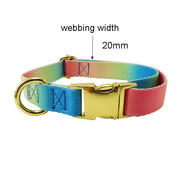 Hot Selling Product Pet Collar Pet Walking Accessories Collar Leash With Several Color