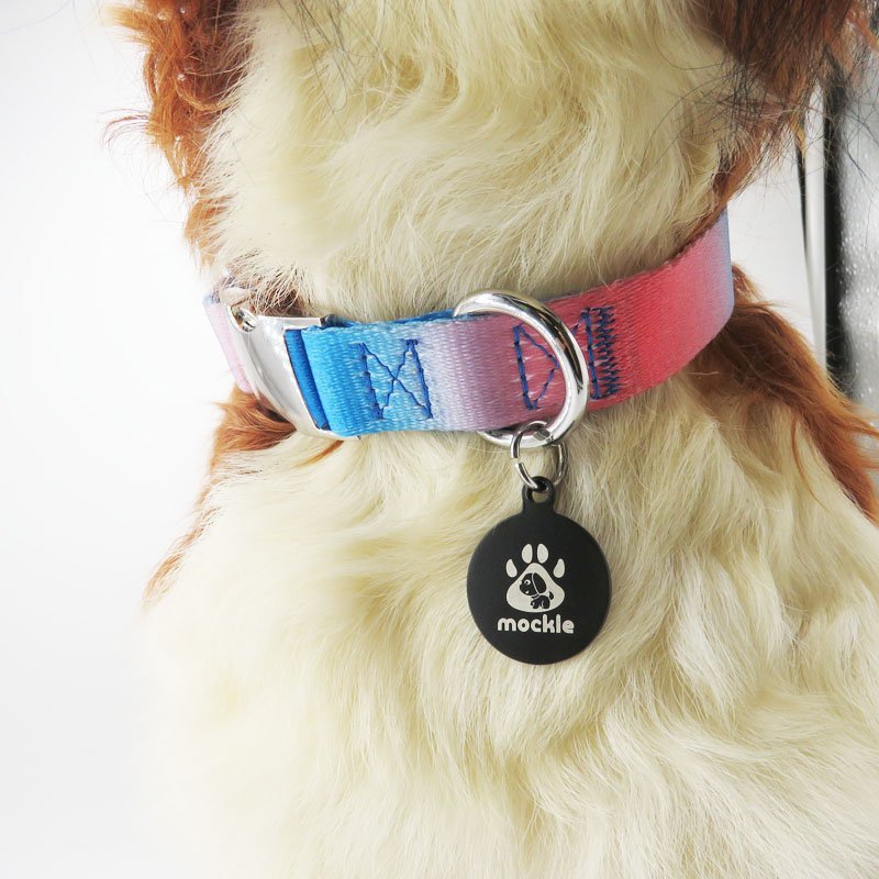 Hot Selling Product Pet Collar Pet Walking Accessories Collar Leash With Several Color