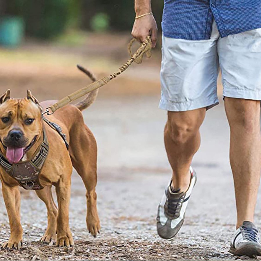 Wholesale Heavy Duty Dog Leash New Colorful Braided Slip Collar Rope Quick Release Alloy Ribbon Solid Nylon Pet Leash