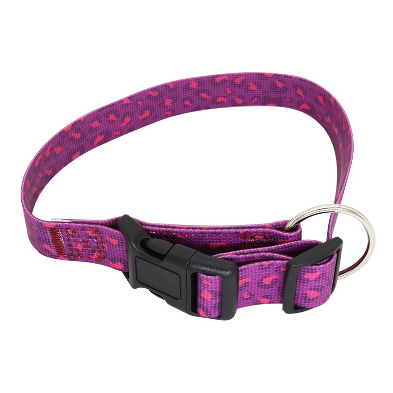 China Fashion Pet Supplies Dog Collar