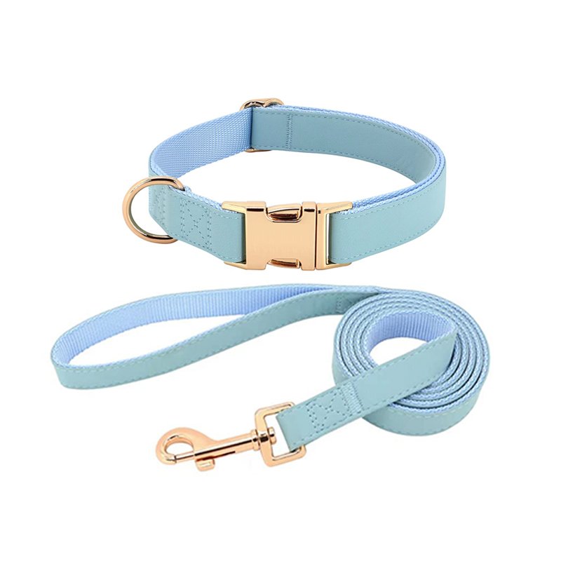 Quick Release Puppy Collars For Dogs Manufacturer Personalized Dog Leash Padded