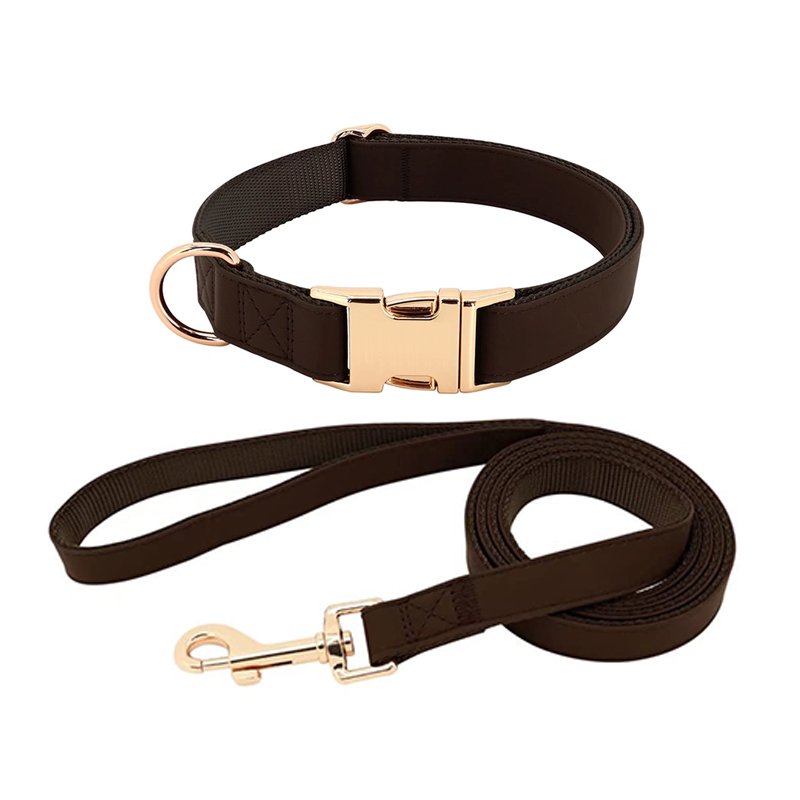 Quick Release Puppy Collars For Dogs Manufacturer Personalized Dog Leash Padded