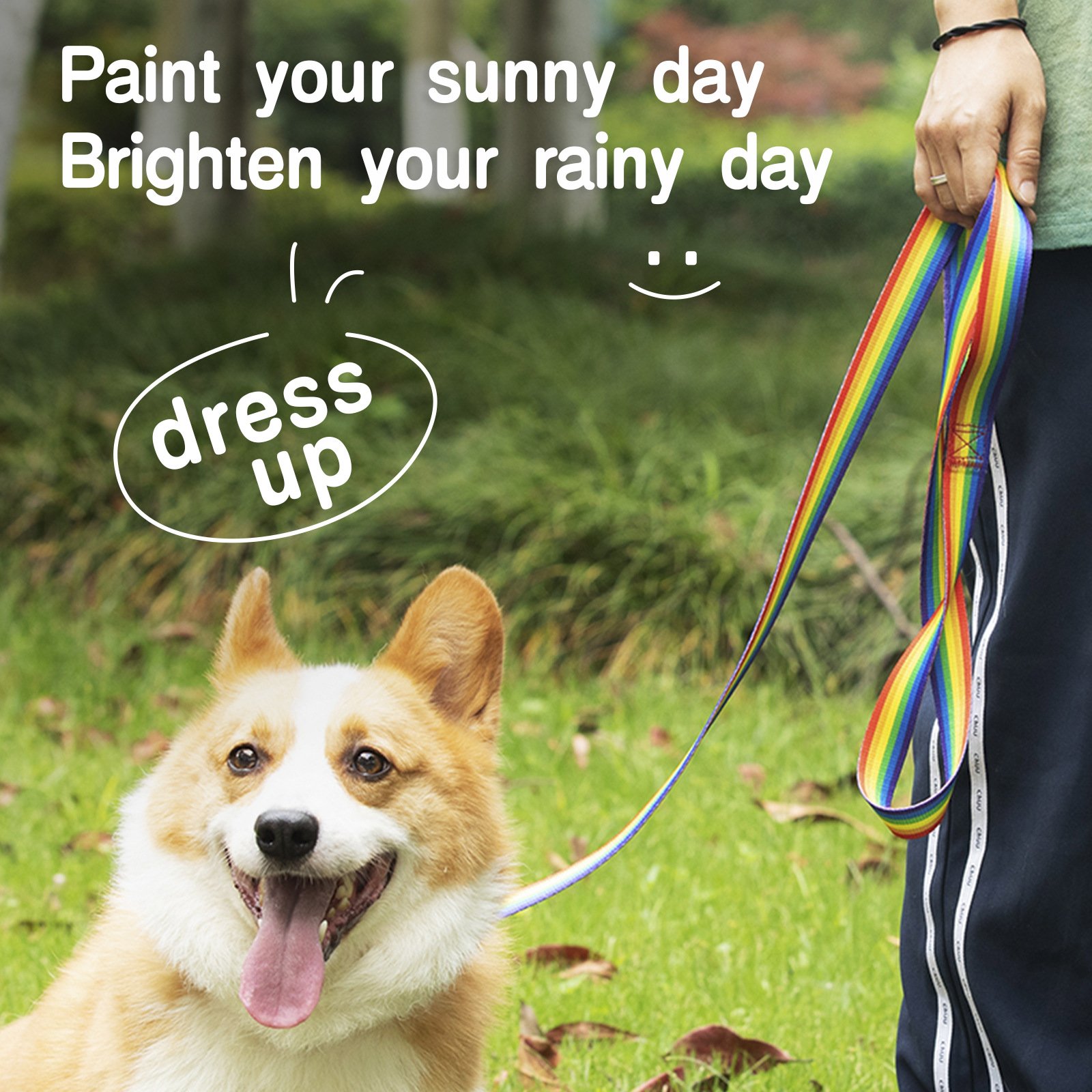 Wholesale Pet Collar Leash Dog Accessories Pet Supplies Multi-colored Outdoor Dog Cat Harness Leash
