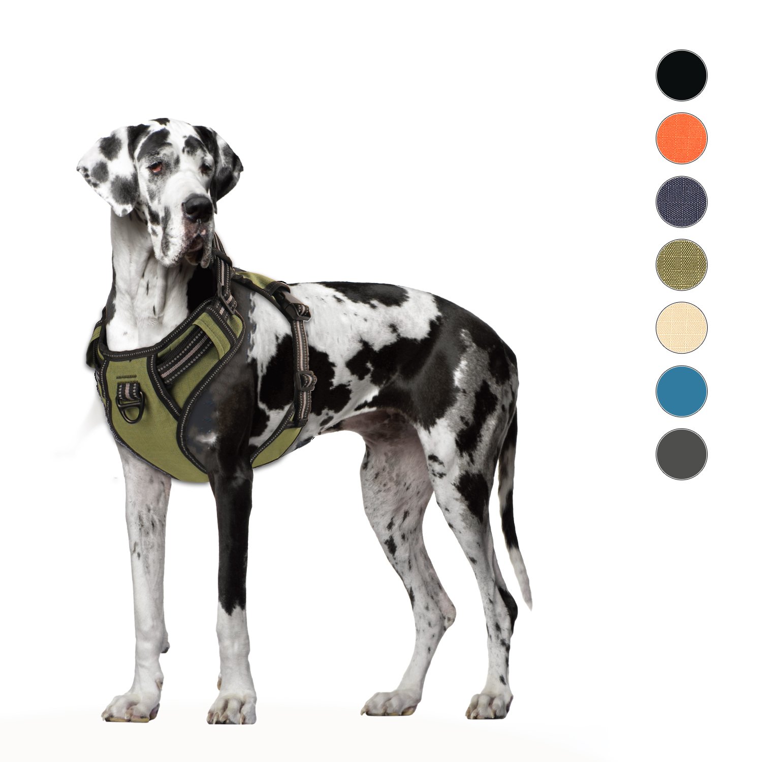 Dog Leather Collar Training Designer pu leather Pet Durable Leather Dog Leash With Collar Set
