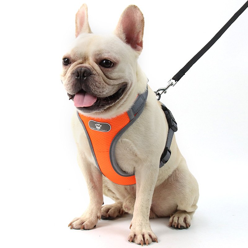 Dog Harness Leash Bulldog Pug Pet Supplies Pectoral Collar Small Dog Puppy