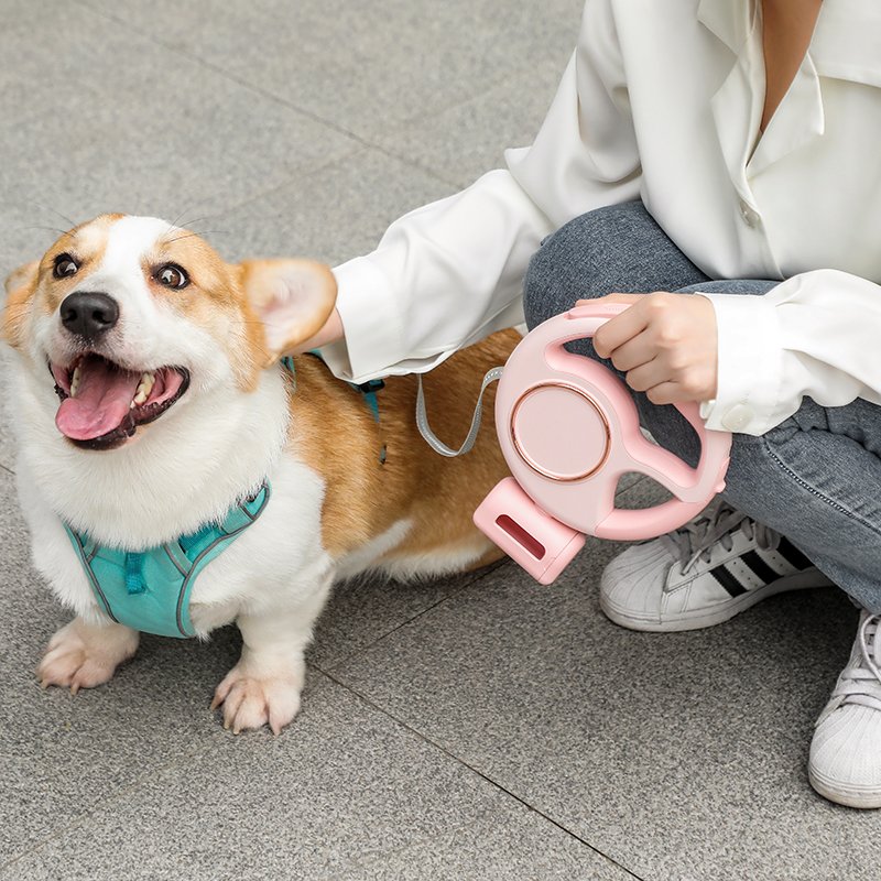 Kingming automatic retractable dog leash with LED flashlight dog poop bag and storage bowl For Small and Medium Dogs