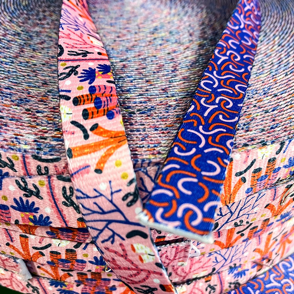 Gacent Factory Custom Size Color Polyester Nylon Design Printed Webbing for Pet Collar & Leash