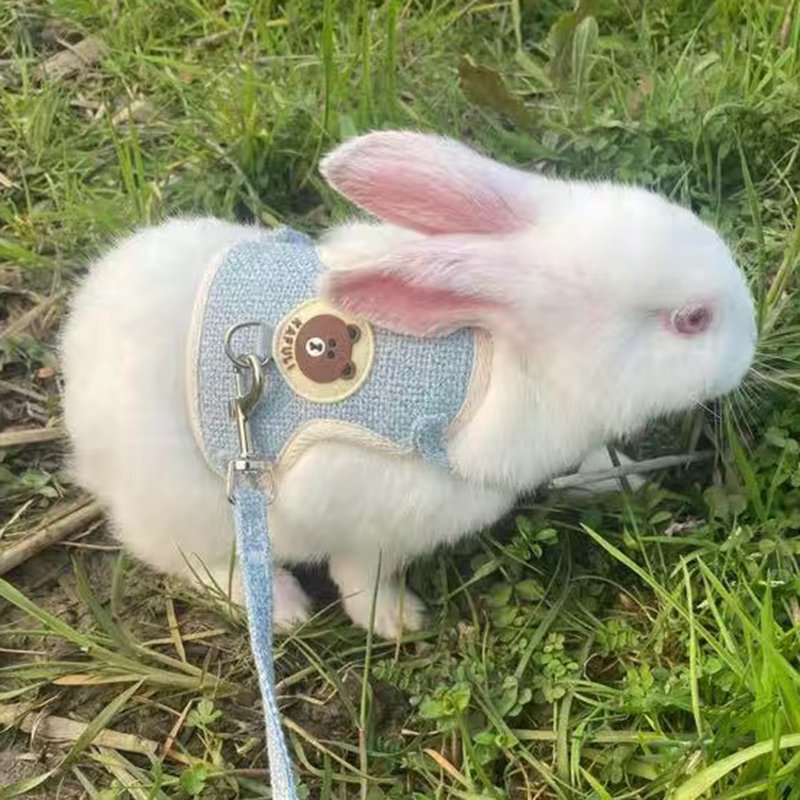 Newest Cute Rabbit Harness Leash Set Bunny Pet Accessories Vest Clothes for Leashes Outdoor Walking s Supplies