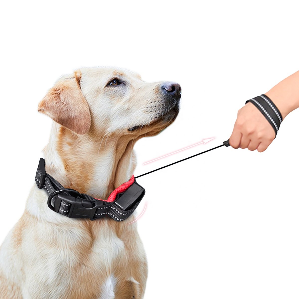 Hot Selling Pet Collar Dog Leash Retractable Dog Collar with Adjustable Leash for Dogs