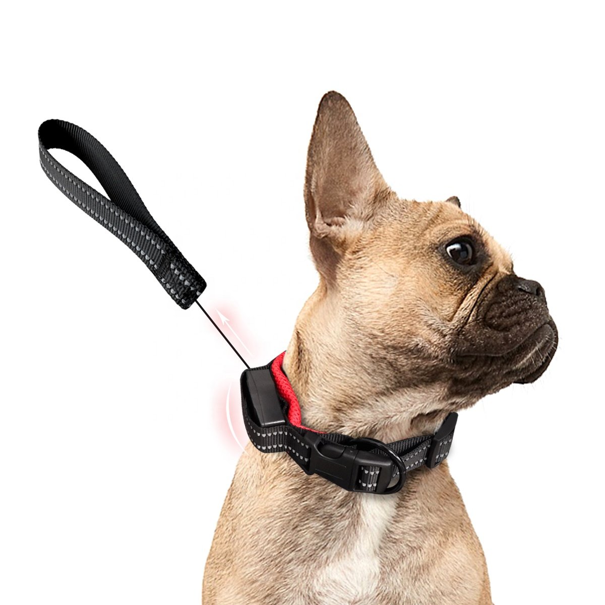 Hot Selling Pet Collar Dog Leash Retractable Dog Collar with Adjustable Leash for Dogs