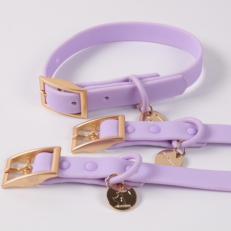 Popular pvc pet collar set Luxury Custom Logo Multicolor adjustable dog Collar PVC Coated Waterproof Dog Collar And Leash Set