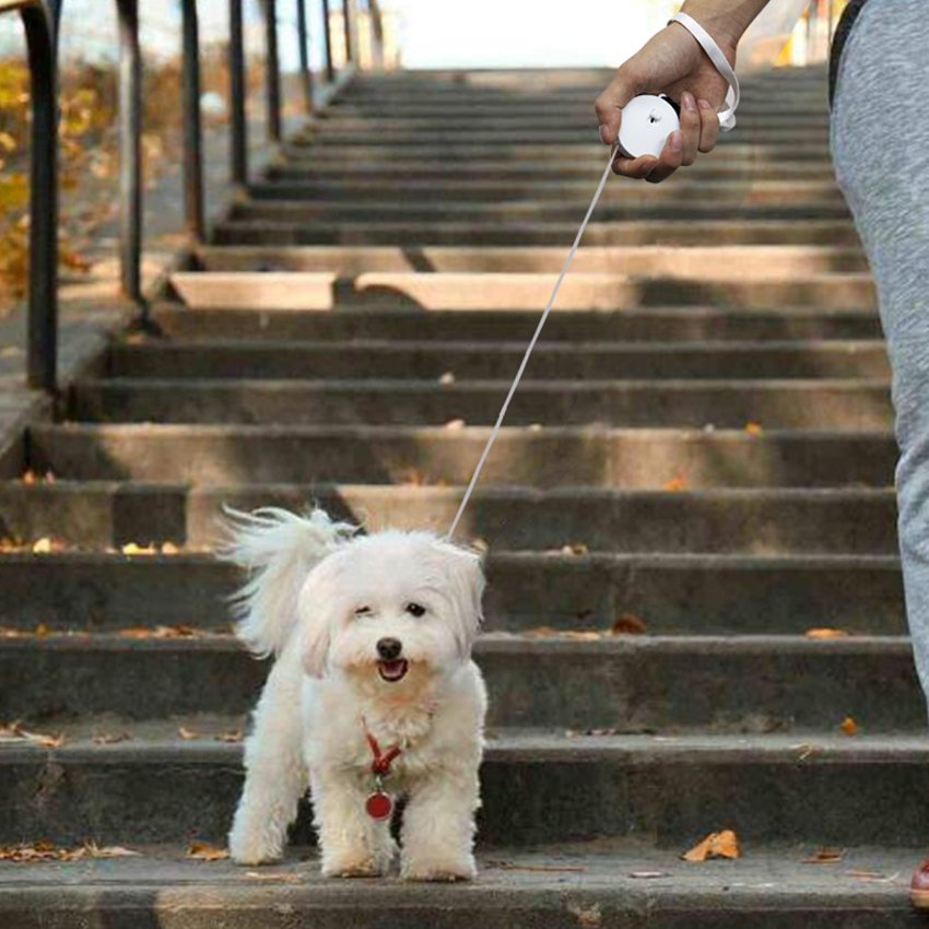 Factory Wholesale Adjustable Nylon Traction Rope New Design Small Animal Dog Pet Cat Outdoors Easy Control Solid Pattern