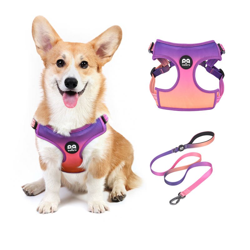 Manufacturer dog poop bag holder custom logo other pet collars leashes & harnesses luxury dog collar