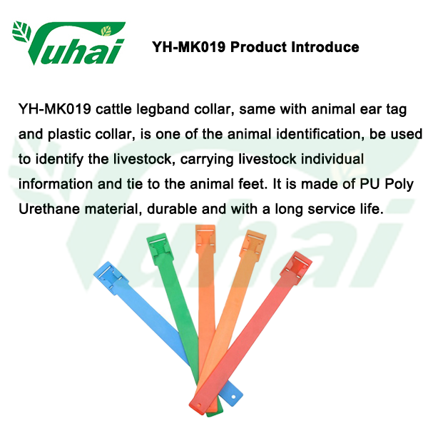 PU or EVA livestock products colorful animal collar for cow