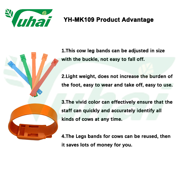PU or EVA livestock products colorful animal collar for cow