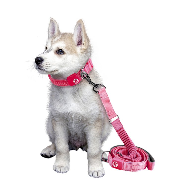 Wholesale price luxury pet leash for dogs outdoor and traveling pet collars and leash set